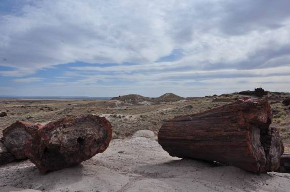 Madeira petrificada há mais de 200 milhões de anos, no Petrified Forest National Park, no Arizona - Estados Unidos